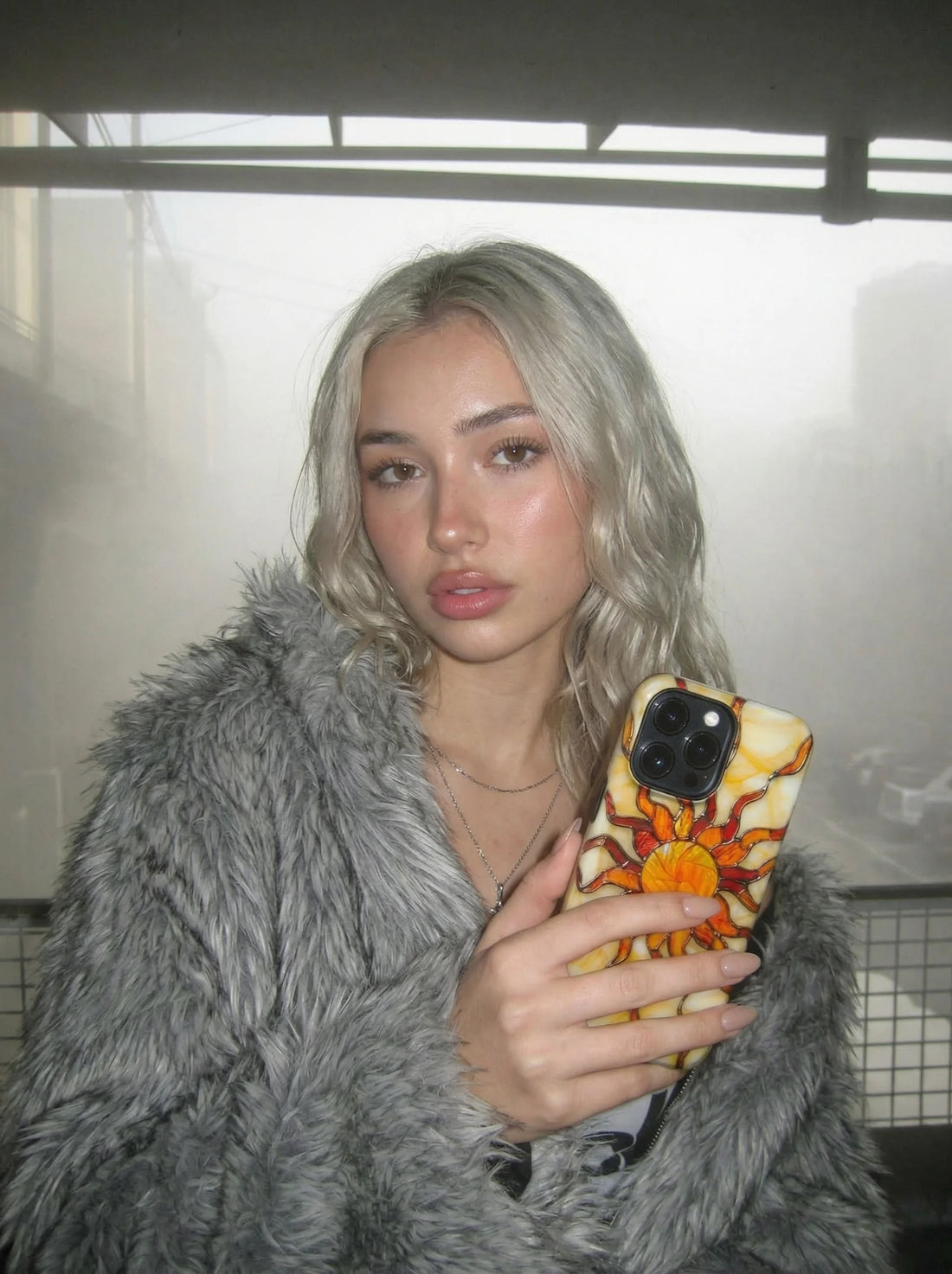 Sun and Moon phone case collection